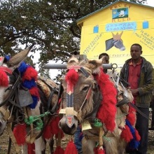 Donkey bibliotecas móveis na Etiópia
