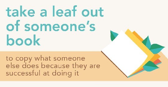 Idioms about books - take a leaf out of someones book