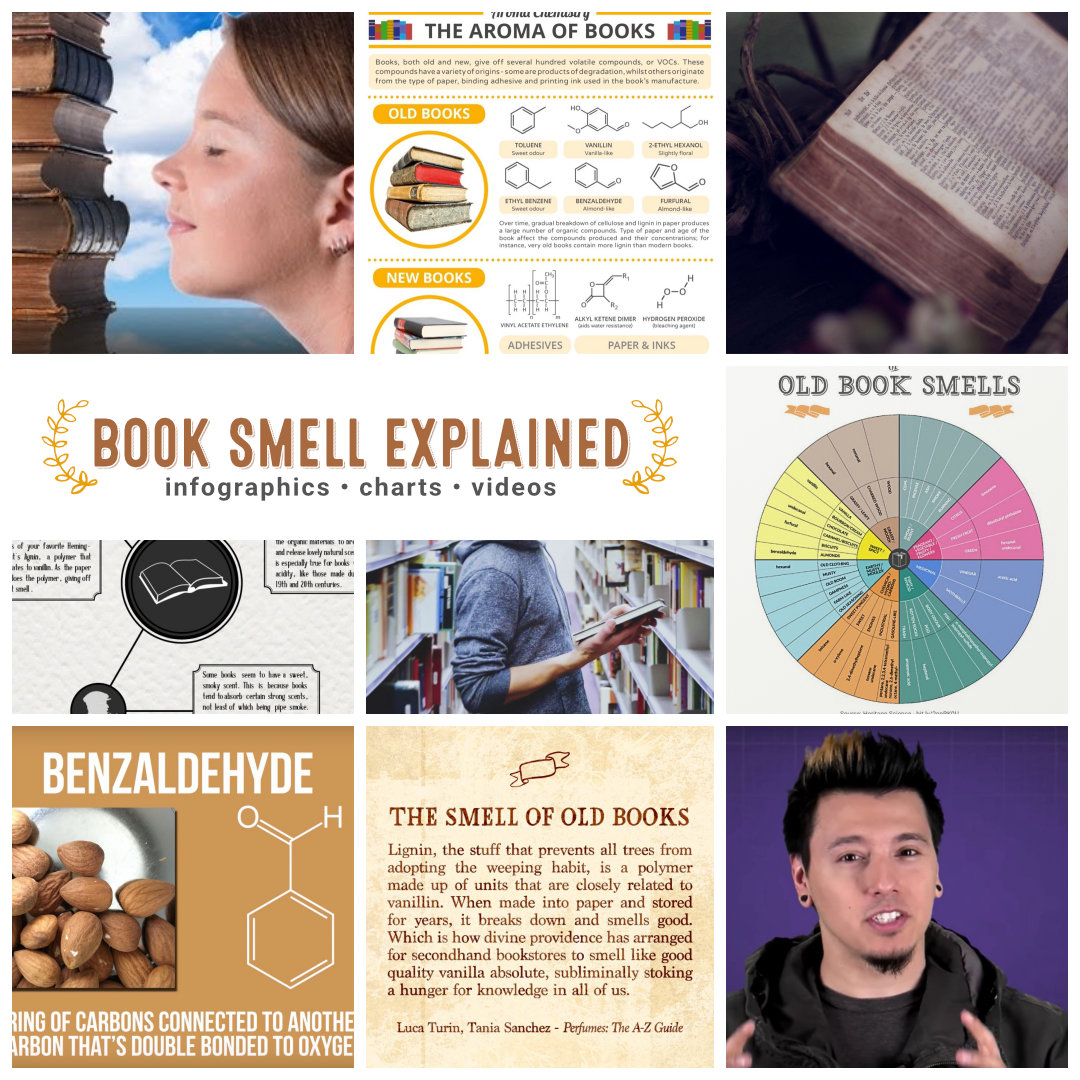 Book smell explained 7 infographics, charts, and videos