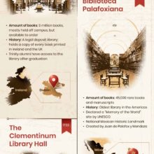 Public libraries invaluable to world history #infographic