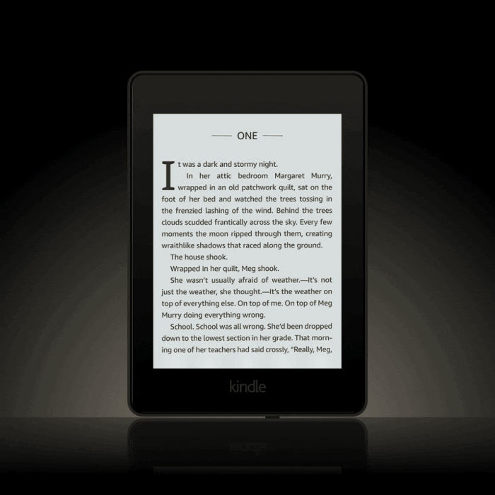 Amazon Kindle Paperwhite 5 warm light visualization