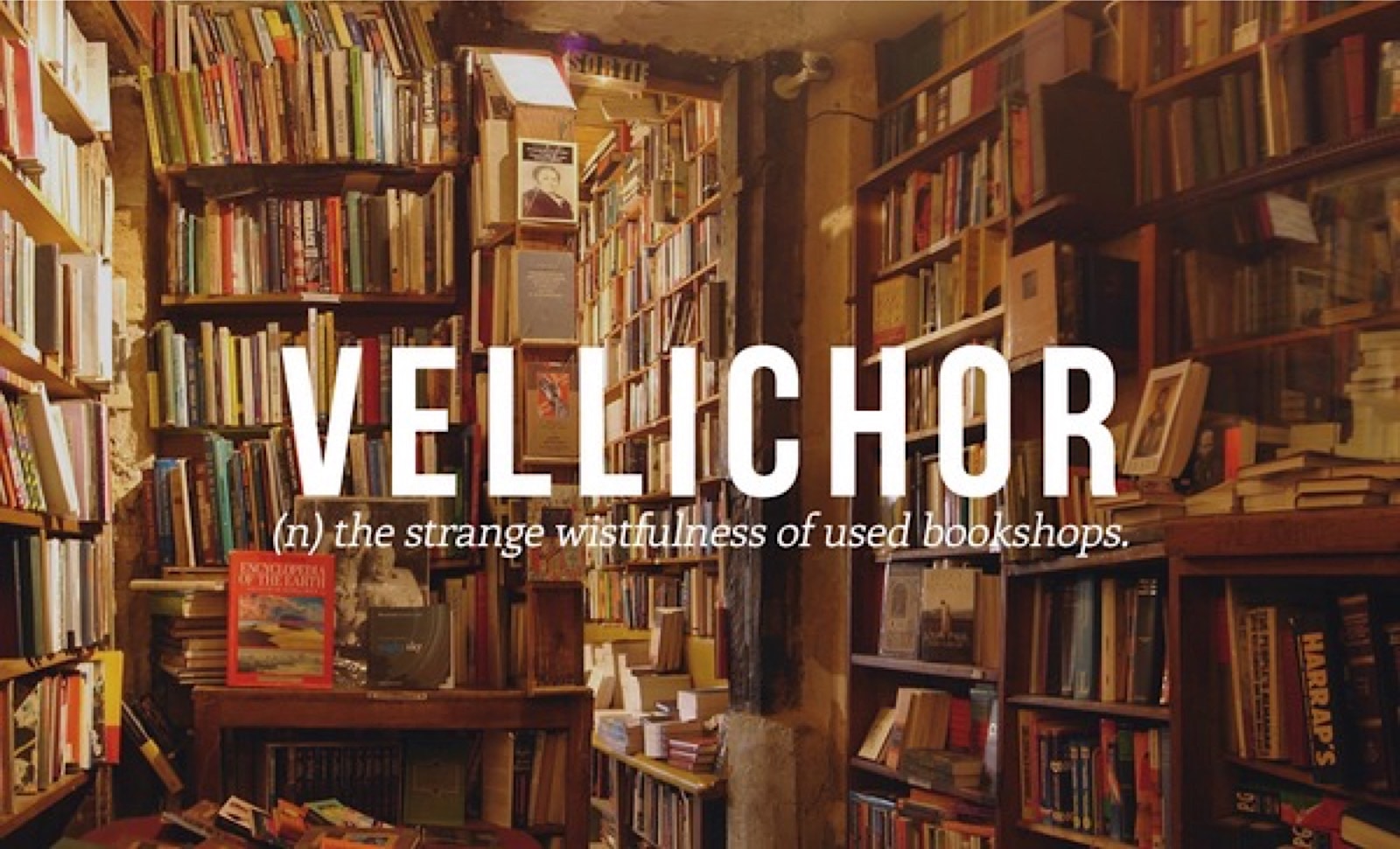 The Most Beautiful Words In The English Language Pictures